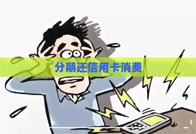 分期还信用卡消费