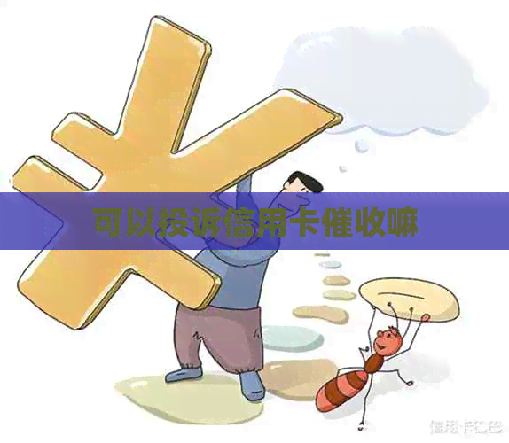 可以投诉信用卡嘛