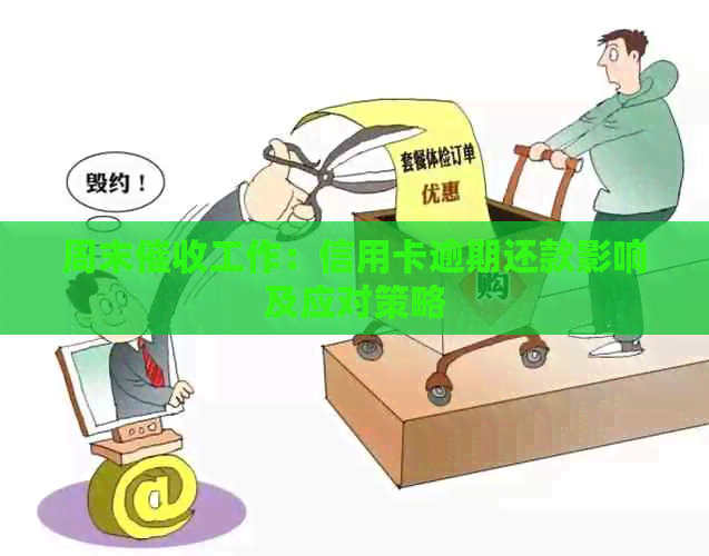 周末工作：信用卡逾期还款影响及应对策略