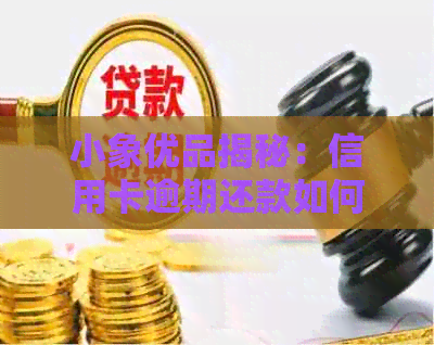 小象优品揭秘：信用卡逾期还款如何轻松搞定？