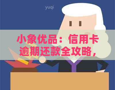 小象优品：信用卡逾期还款全攻略，了解怎么操作，查看信用在哪一步完成