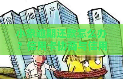 小象逾期还款怎么办？信用卡协商与信用建设指南