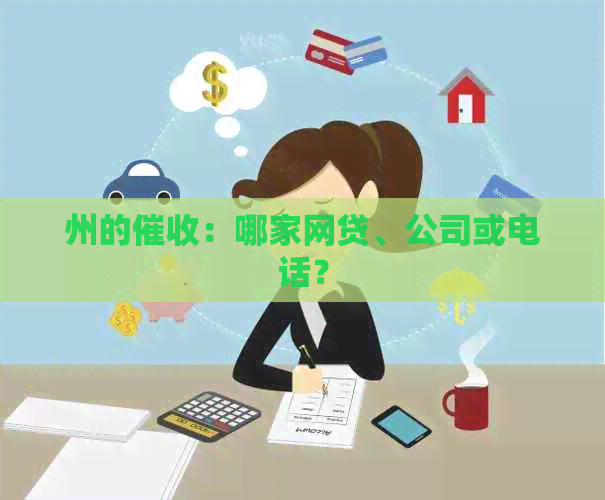 州的：哪家网贷、公司或电话？