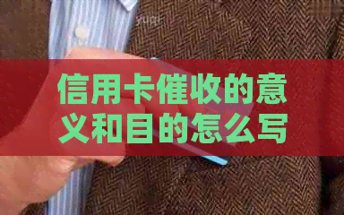 信用卡的意义和目的怎么写：探讨有效策略与重要性