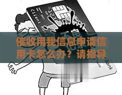 用我信息申请信用卡怎么办？请指导办理流程。