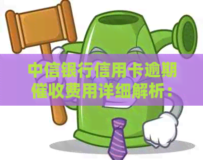 中信银行信用卡逾期费用详细解析：收费标准、计算方式及应对策略