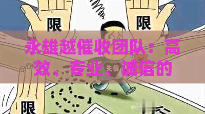 永雄越团队：高效、专业、诚信的服务供应商