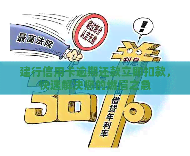 建行信用卡逾期还款立即扣款，快速解决您的燃眉之急