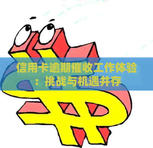 信用卡逾期工作体验：挑战与机遇并存