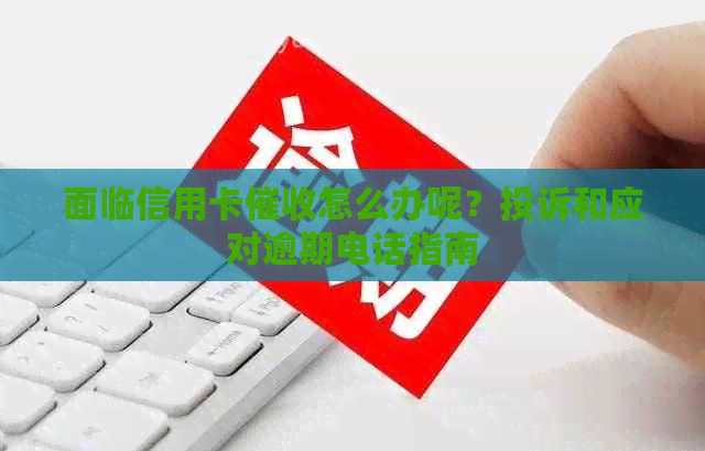 面临信用卡怎么办呢？投诉和应对逾期电话指南