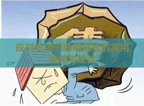 应对信用卡逾期的实用策略与建议