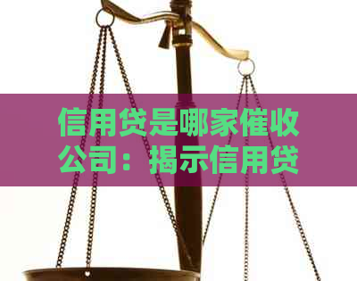 信用贷是哪家公司：揭示信用贷款的机构与平台