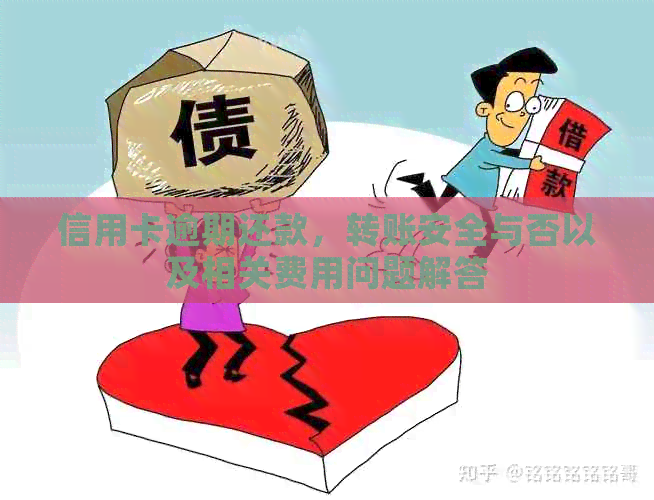 信用卡逾期还款，转账安全与否以及相关费用问题解答