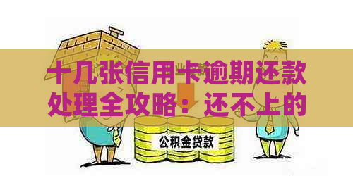 十几张信用卡逾期还款处理全攻略：还不上的怎么办，信用多张卡怎么处理？