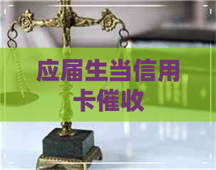 应届生当信用卡