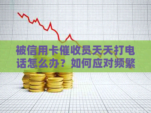 被信用卡员天天打电话怎么办？如何应对频繁的电话？