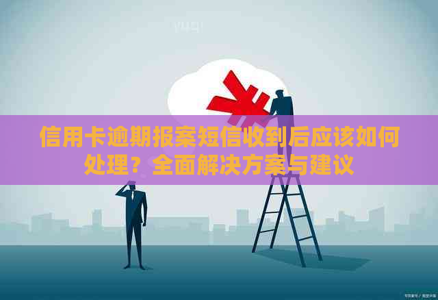 信用卡逾期报案短信收到后应该如何处理？全面解决方案与建议