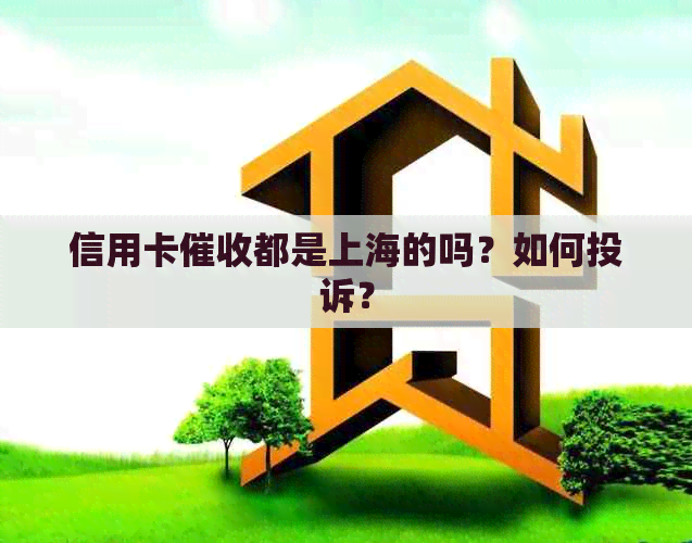 信用卡都是上海的吗？如何投诉？