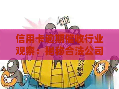 信用卡逾期行业观察：揭秘合法公司的高效工作技巧与策略
