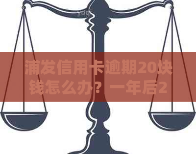 浦发信用卡逾期20块钱怎么办？一年后20万将如何追讨？