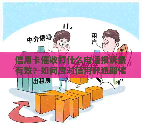 信用卡打什么电话投诉最有效？如何应对信用咔逾期电话？