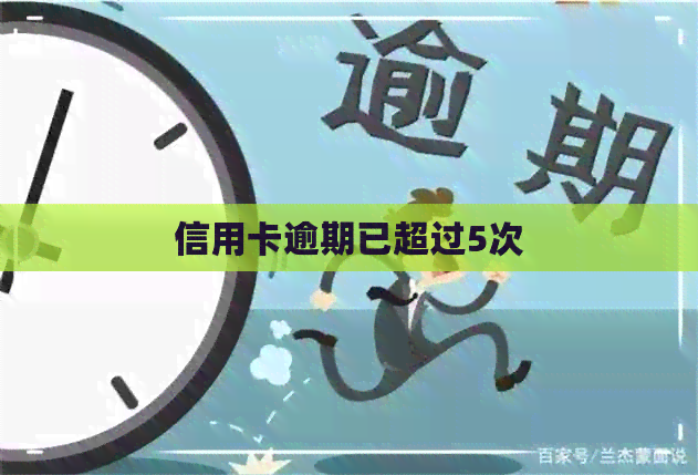 信用卡逾期已超过5次
