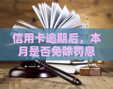 信用卡逾期后，本月是否免除罚息？了解所有相关信息和解决方案