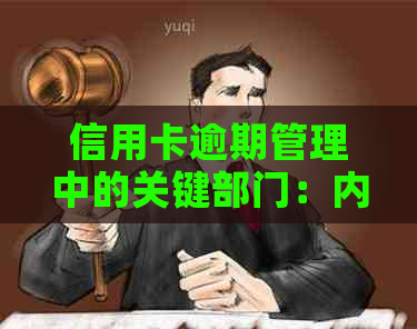 信用卡逾期管理中的关键部门：内部职责解析