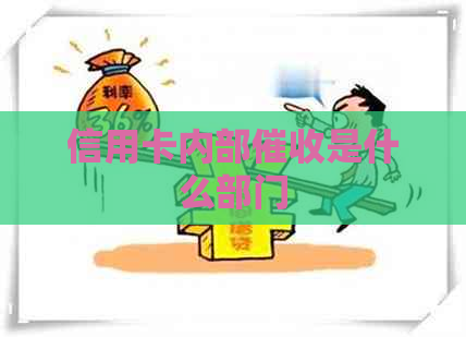 信用卡内部是什么部门