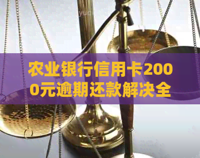 农业银行信用卡2000元逾期还款解决全攻略：原因、影响、补救措及注意事项