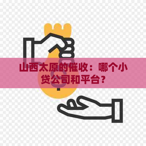 山西太原的：哪个小贷公司和平台？