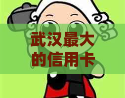 武汉更大的信用卡公司排名及相关公司信息