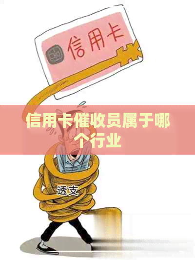 信用卡员属于哪个行业