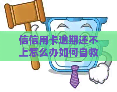 信信用卡逾期还不上怎么办如何自救与避免影响？