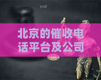北京的电话平台及公司信息汇总