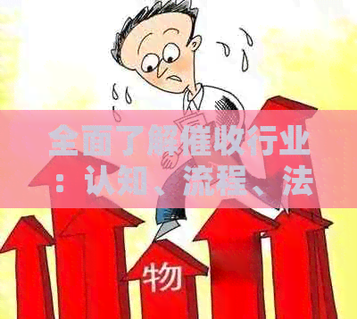 全面了解行业：认知、流程、法律及实践
