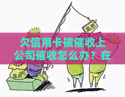 欠信用卡被上公司怎么办？在信用卡公司上班犯法吗？-在信用卡公司上班,犯法吗