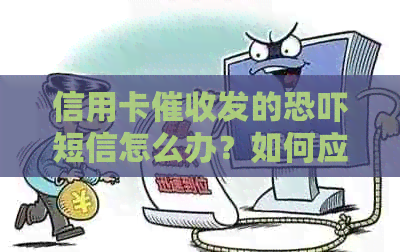信用卡发的短信怎么办？如何应对？