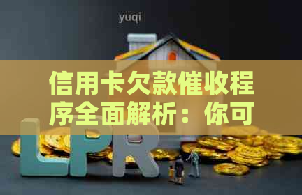 信用卡欠款程序全面解析：你可能面临的后果与应对策略