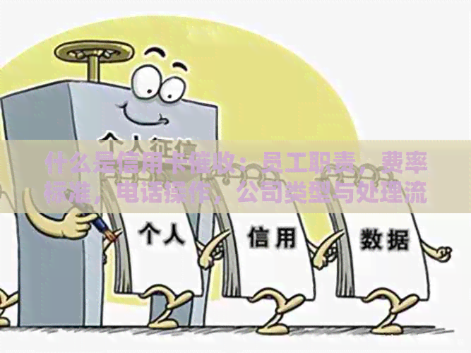 什么是信用卡：员工职责，费率标准，电话操作，公司类型与处理流程