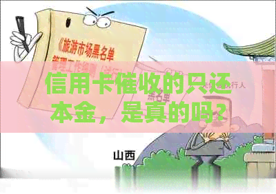 信用卡的只还本金，是真的吗？