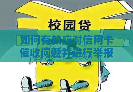 如何有效应对信用卡问题并进行举报？
