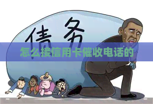 怎么接信用卡电话的