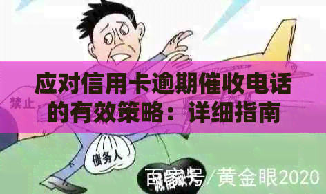 应对信用卡逾期电话的有效策略：详细指南