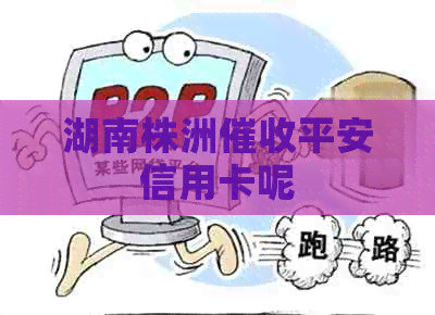 湖南株洲平安信用卡呢