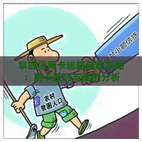 掌握信用卡逾期策略：用卡技巧与案例分析