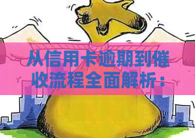 从信用卡逾期到流程全面解析：我是信用卡专员，我来解答您的疑问