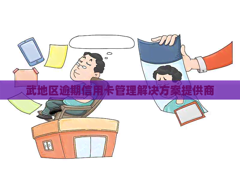 武地区逾期信用卡管理解决方案提供商