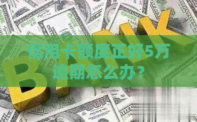 信用卡额度正好5万逾期怎么办？