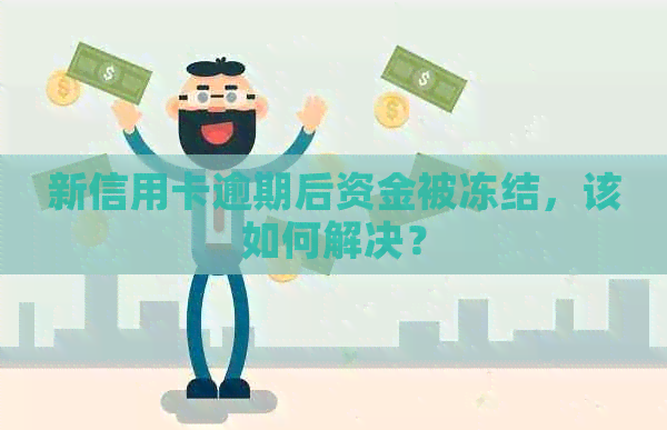 新信用卡逾期后资金被冻结，该如何解决？